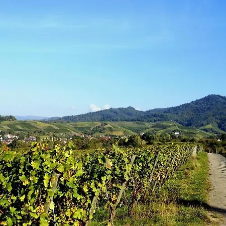 Studio-apartment Mit Garten, Parkplatz & Kueche 오펜부르크