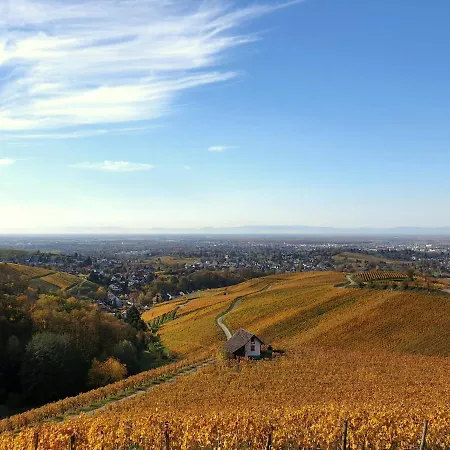 아파트 Studio-apartment Mit Garten, Parkplatz & Kueche *