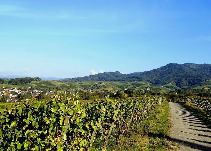 Studio-apartment Mit Garten, Parkplatz & Kueche Offenbourg