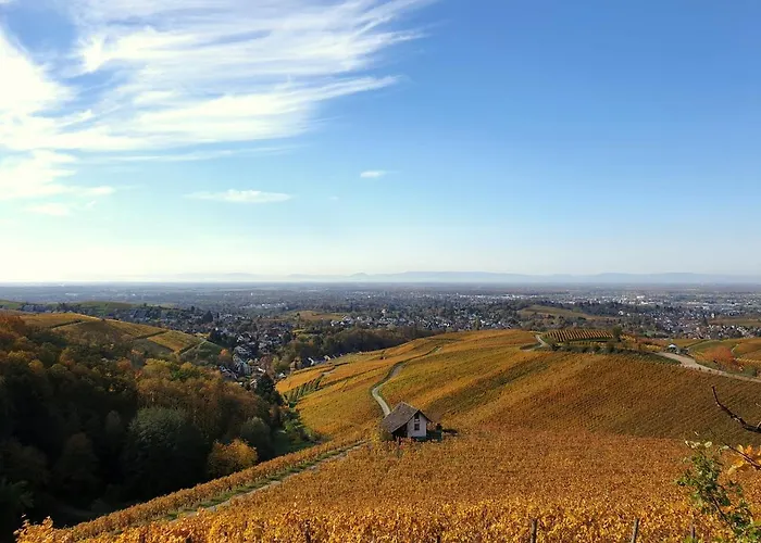 Appartement Studio-apartment Mit Garten, Parkplatz & Kueche *