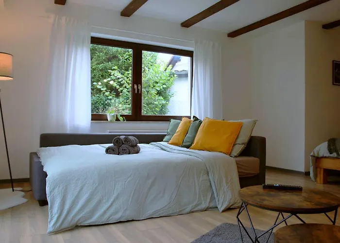 Studio-apartment Mit Garten, Parkplatz & Kueche Offenburg